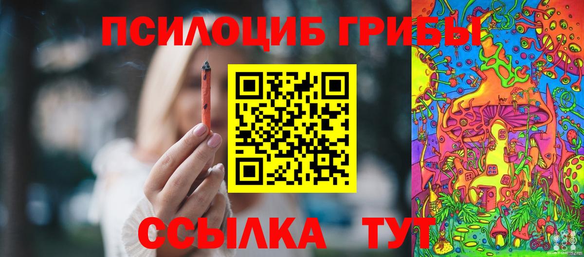 Псилоцибиновые грибы Psilocybine cubensis Самара